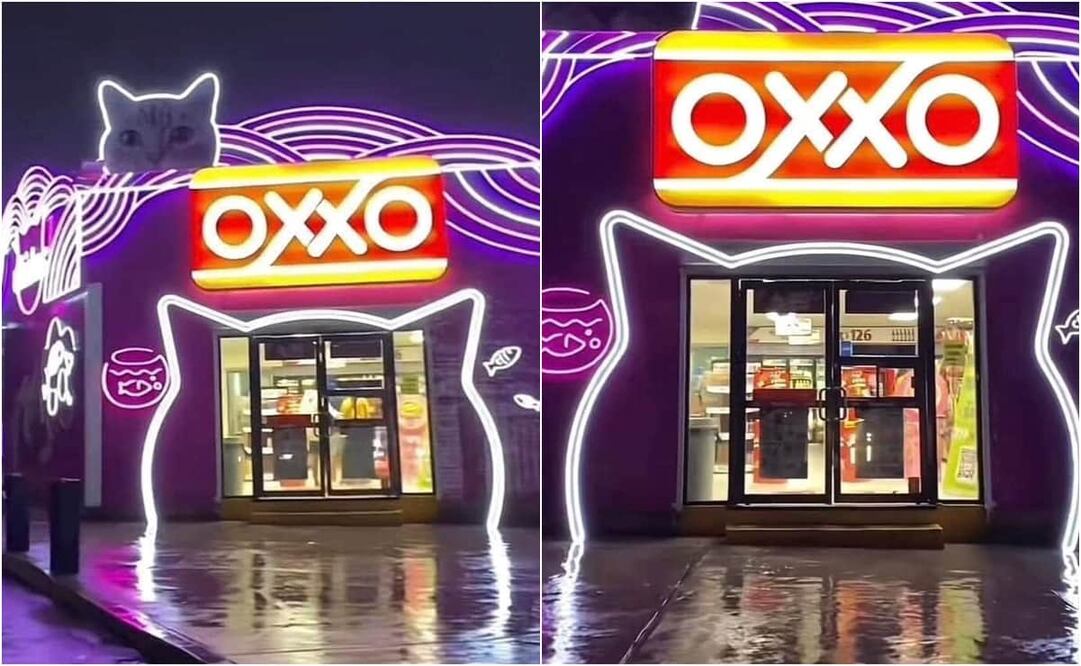 El video cuenta con 242 mil reproducciones y más de 50 mil "likes". Foto: X. @Indie5051