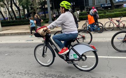 Paran renovación del sistema ECOBICI por escasez de chips a nivel mundial