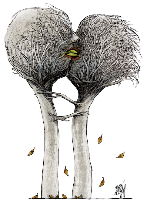 Cartón de BOLIGÁN