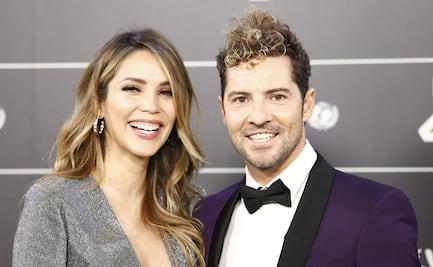 David Bisbal y Rosanna Zanetti revelan que están esperando su segundo hijo