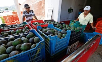 EU reanuda parcialmente actividades en Michoacán; mantiene alerta de viaje