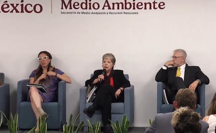 Semarnat frena proyecto de Royal Caribbean en Mahahual, Quintana Roo; "Perfect Day no será aprobado", afirma Bárcena 