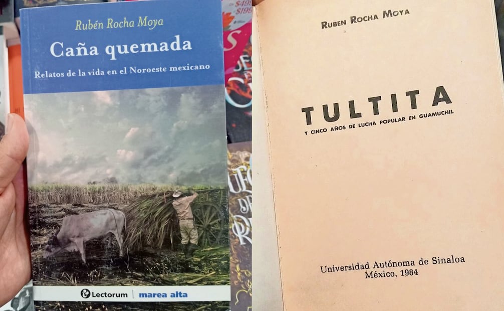 En su libro Caña quemada, publicado en 2012, Rocha relata en varios cuentos la vida en el noreste mexicano.