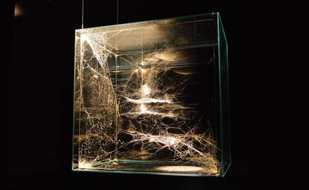 El arte multidisciplinario de Saraceno, en el MARCO