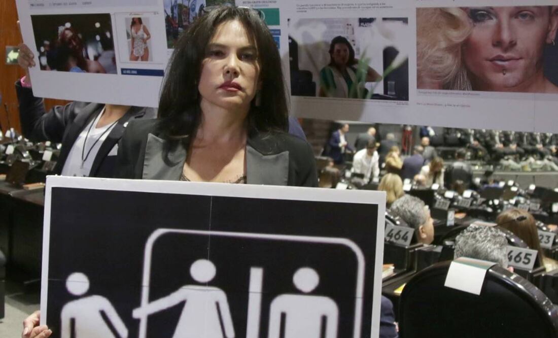 La legisladora mostró una pancarta con diversas imágenes, entre las que se observa el acceso a un sanitario con la imagen de un hombre y una mujer trans, en referencia a que no había espacio para una mujer / Foto: Carlos Odín. EL UNIVERSAL