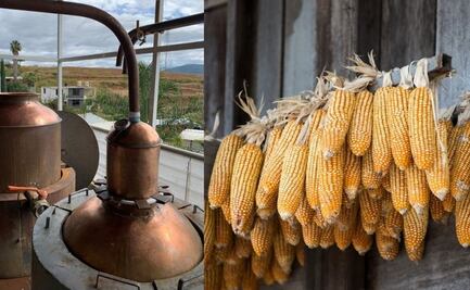 Así comenzó la historia del whiskey mexicano