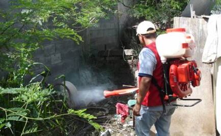 Exigen trabajos de fumigación en Campeche