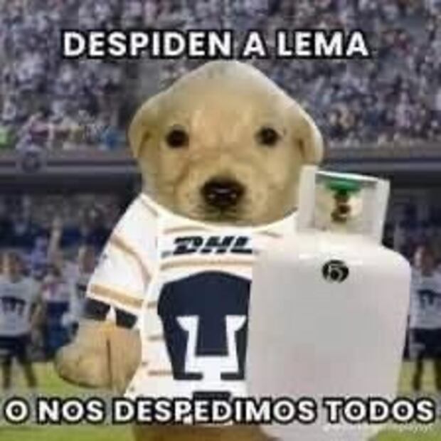 Memes de Gustavo Lema. FOTO: ESPECIAL