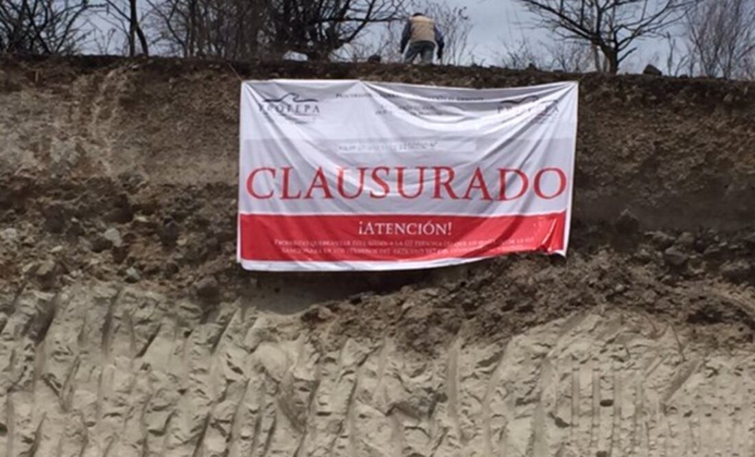 Foto: Tomada de @PROFEPA_Mx