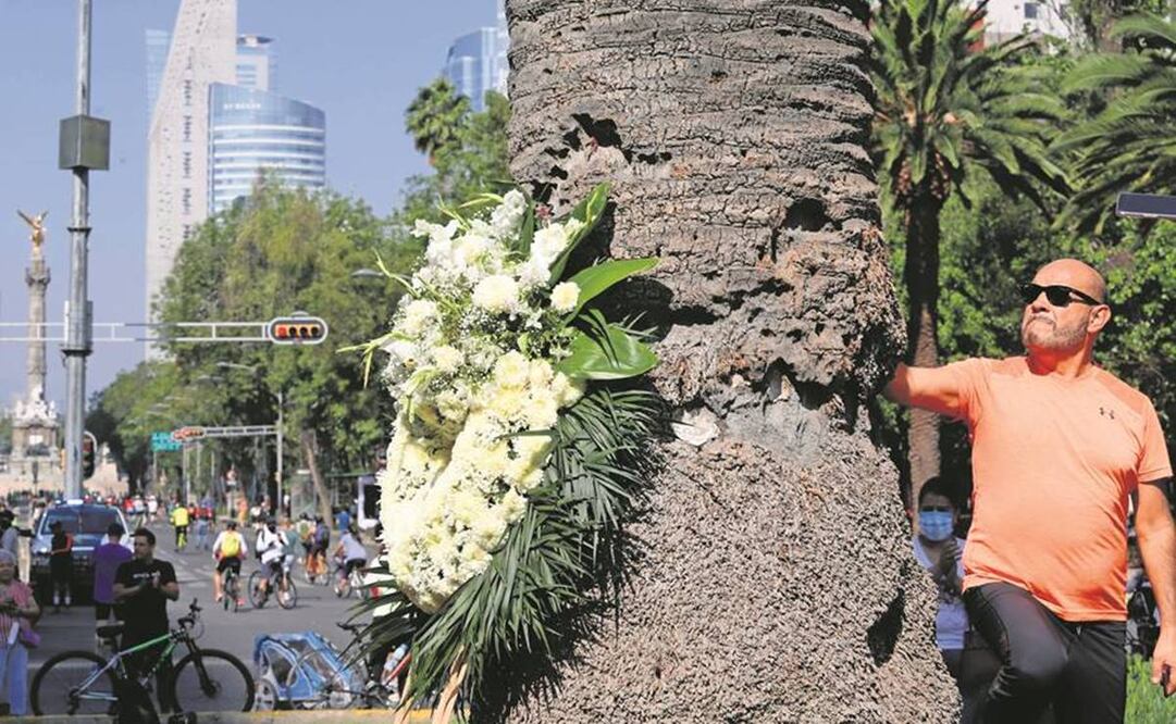 Capitalinos tocaron y abrazaron a la palma que sería retirada la noche del domingo. Se colocó una corona fúnebre en el lugar. Foto: Berenice Fregoso/EL UNIVERSAL