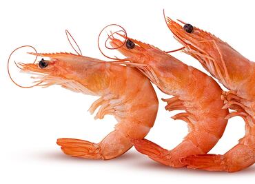 Lo que debes saber sobre las alergias alimentarias