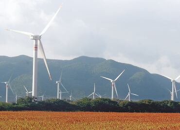 Conceden otras 8 suspensiones a ley eléctrica