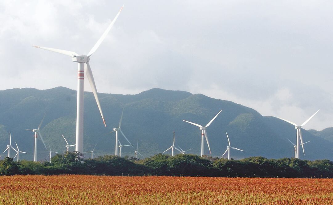 Bajo el argumento de que la ley atenta contra energías limpias, Greenpeace obtuvo un amparo. Foto: ARCHIVO EL UNIVERSAL