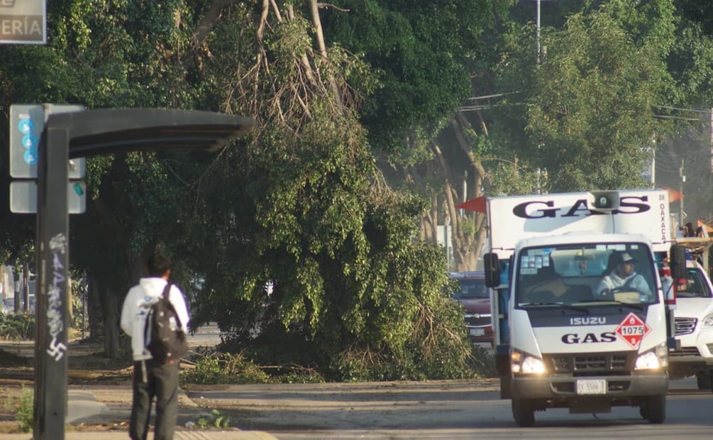 Foto: Edwin Hernández / EL UNIVERSAL