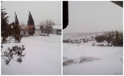 Conagua reporta nevada en La Rumorosa