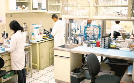 Trabaja UNAM en prueba de Covid-19 más rápida y barata