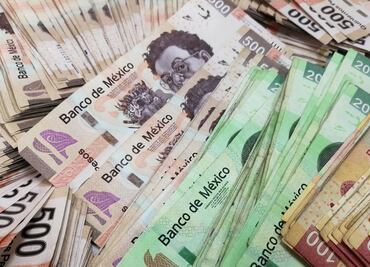 Reparto de utilidades 2024: ¿Qué hacer si no me depositan la prestación en la fecha límite?