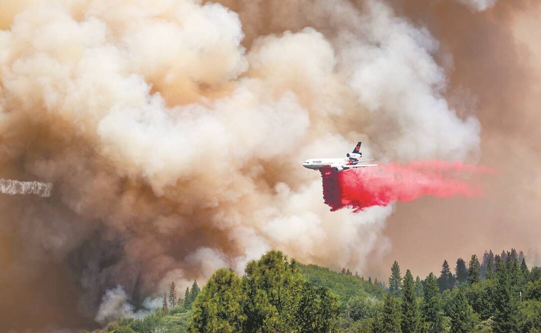 Las llamas del incendio Oak amenazan al ganado, cerca de Midpines, al noreste de Mariposa, en California. Foto: Noah Berger/AP