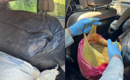 Aseguran paquetes con más de 70 kilos de marihuana dentro de camioneta de lujo abandonada en Jalisco