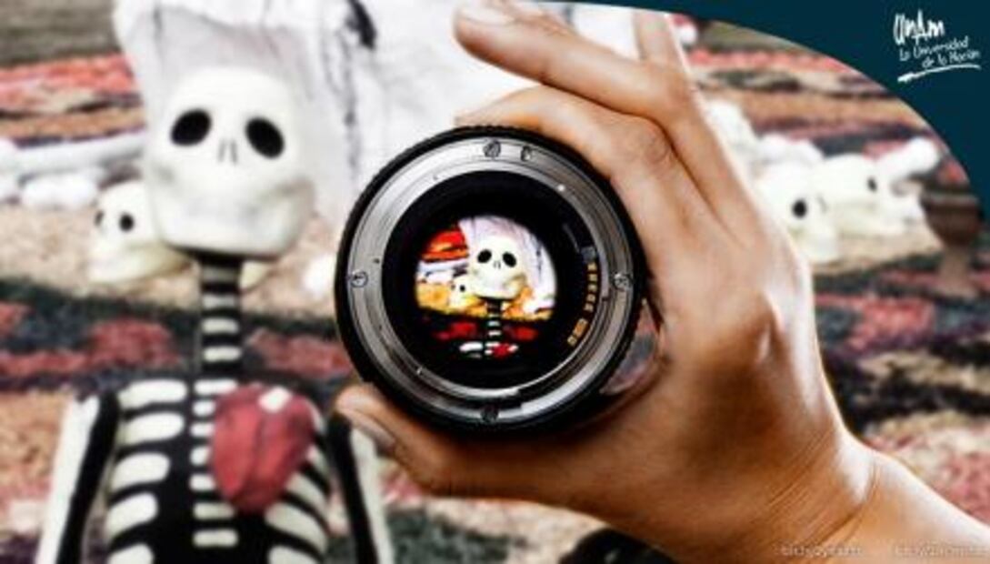 Ofrendas que debes visitar en la CDMX 