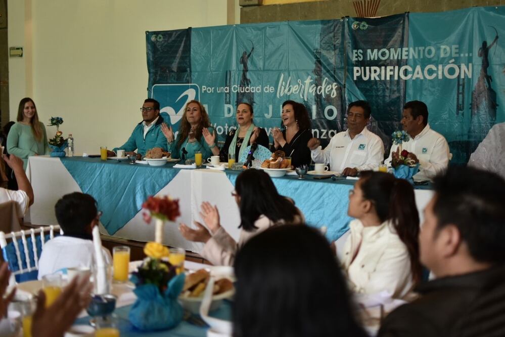 Purificación Carpinteyro candidata al Gobierno de la Ciudad de México por el Partido Nueva Alianza. Foto: Cortesía.