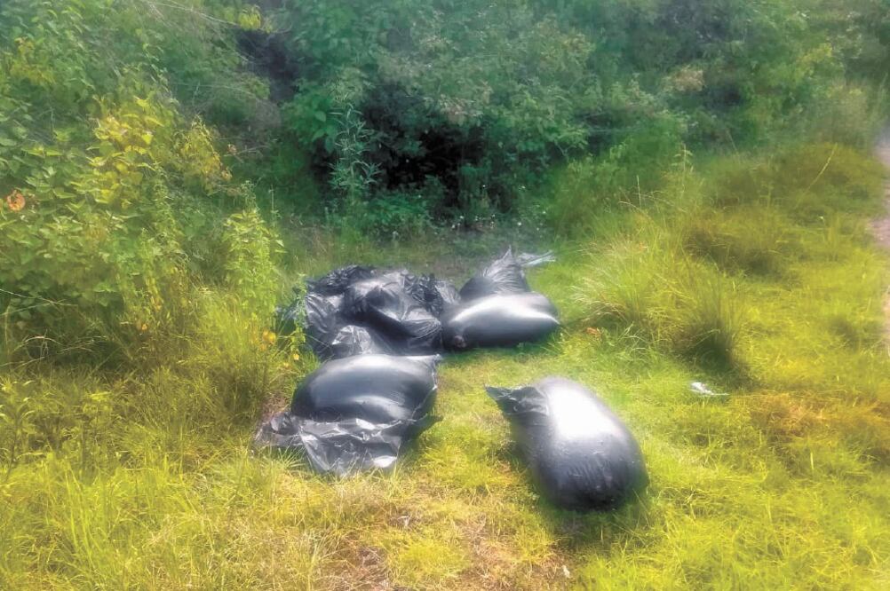 Hallazgo. Las bolsas fueron encontradas en el kilómetro 243 de la autopista Orizaba-Puebla, tramo El Conejo, municipio de Maltrata. Foto: ESPECIAL