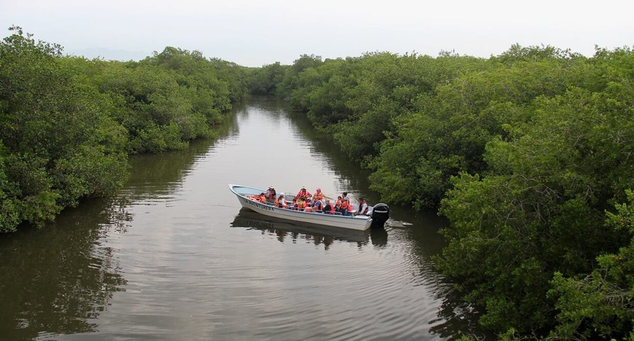 En el estero El Salado es posible observar más de 100 especies de aves.  Frank Mc. Cann/ Facebook Estero El Salado
