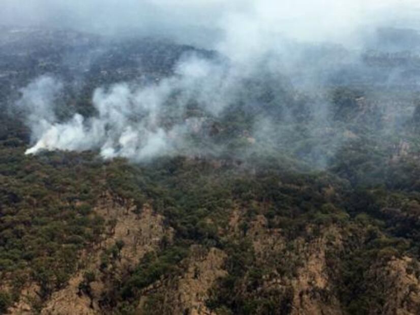 Por incendios intencionales, piden veda inmobiliaria en Zapopan
