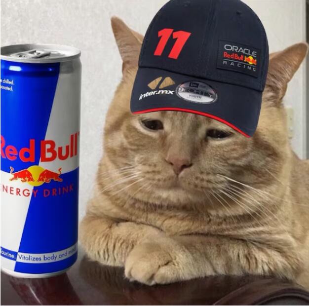 Los MEJORES MEMES del Gran Premio de México