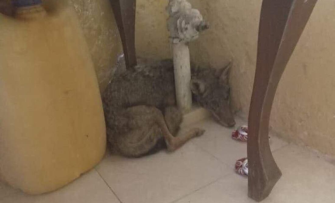 Fotografía: especial