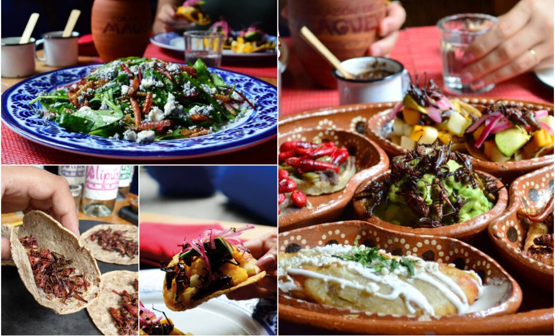 Foto: Fb @Corazóndemaguey/ Temporada de Bichos