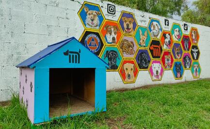 Lomitos rescatados buscan ser parte de una familia; hay 45 en el Centro de Transferencia Canina del Metro