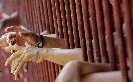 Cientos de personas linchan a hombre por cortar árbol sagrado en la India