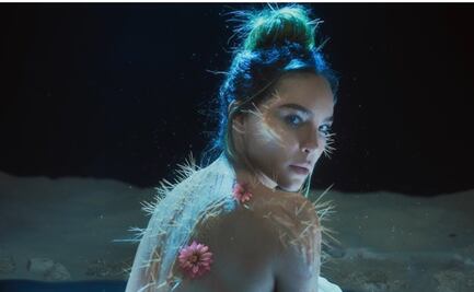 ¿Quién le regaló un cactus a Belinda el 14 de febrero?