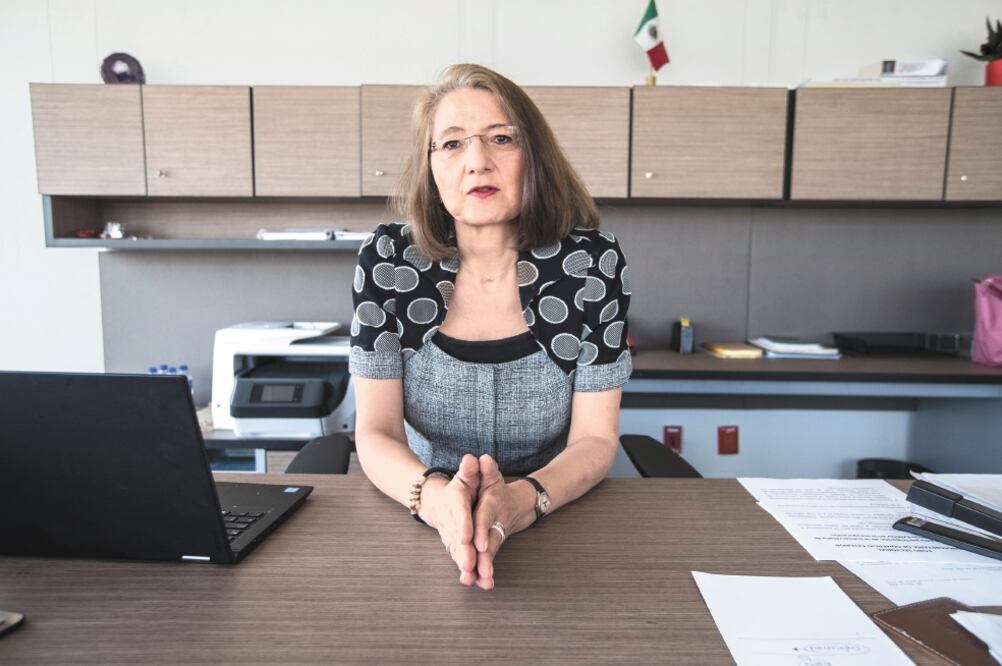 Luz María de la Mora, subsecretaria de Comercio, dijo que entre más tiempo pase, se acercan procesos electorales en EU y Canadá. (ARCHIVO EL UNIVERSAL)