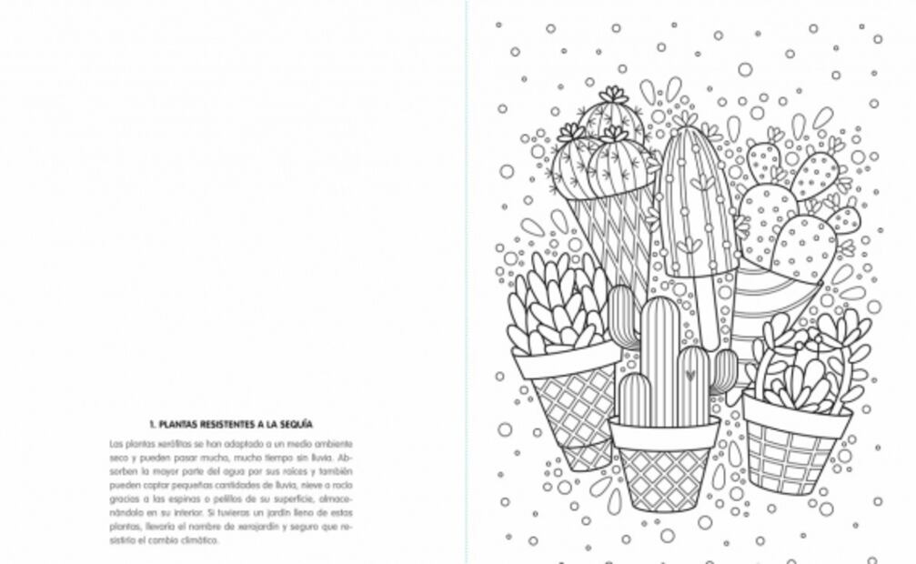 Libros para colorear en Amazon para quienes aman los viajes