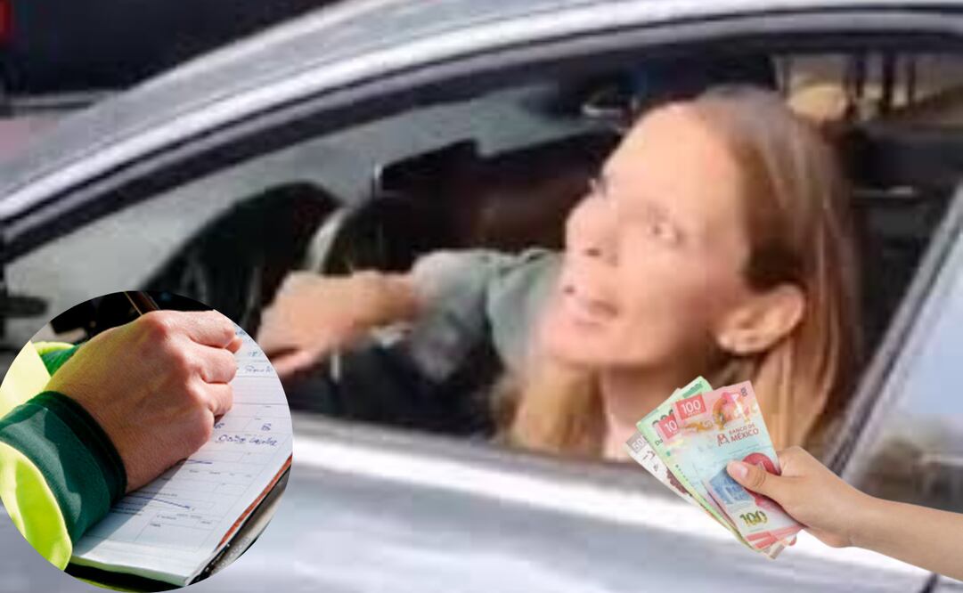 Tras viralizarse un video en que Ximena Pichel profiere insultos racistas a un elemento de la SSC, surge la interrogante sobre las consecuencias jurídicas que podría enfrentar: cárcel, trabajo comunitario y multa.
Foto: El Universal