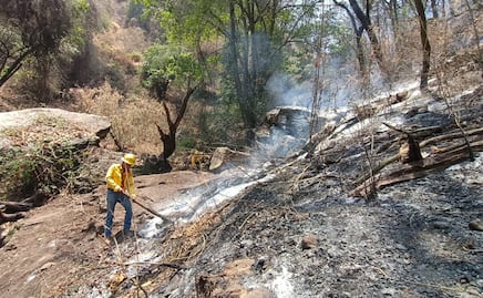 Controlan incendio en reserva de biosfera de Morelos; reportan afectación de 537 hectáreas
