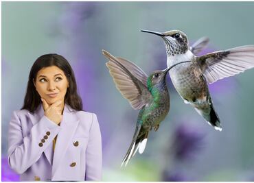 ¿Qué significa que un colibrí visite tu jardín? Conoce el simbolismo