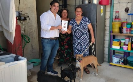 "Chino", perrito rescatado en Chichén Itzá ya fue adoptado