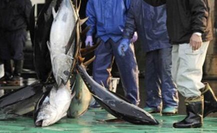 U.S. appeals WTO ruling on dolphin-safe canned tuna labels