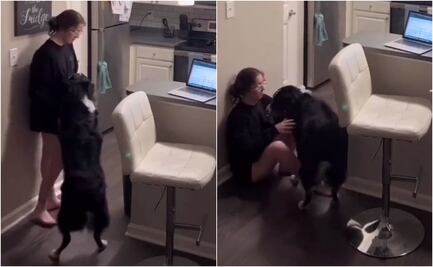 ¡Héroe canino! Captan en video a perrito salvando a dueña tras estar a punto de desmayarse