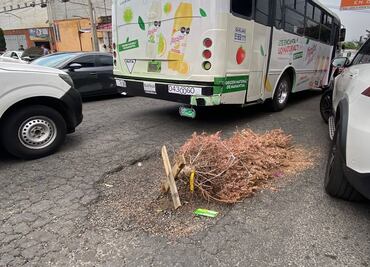 Vecinos de Progreso Atizapán colocan árbol de Navidad para señalar un bache en alcaldía Álvaro Obregón