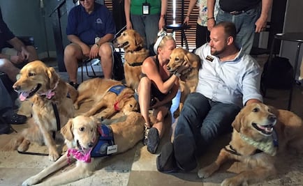 Perros de apoyo dan consuelo a víctimas de Orlando