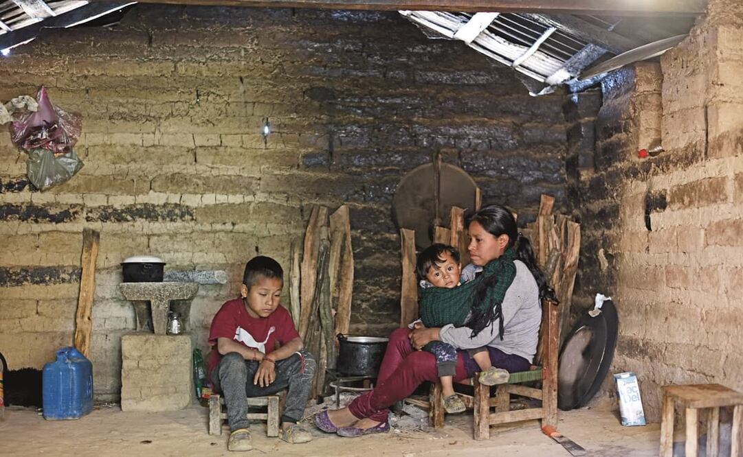 Hace más de un año que Guadalupe y sus hijos viven con lo mínimo necesario; no ha podido regresar a trabajar como jornalera y en Francisco I. Madero no hay más alternativas para sobrevivir, narra. Fotos: Salvador Cisneros. EL UNIVERSAL