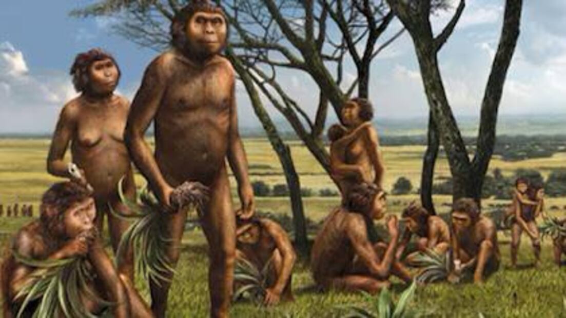 Lucy ha sido una referencia ineludible en la paleoantropología. Fuente: Freepik.