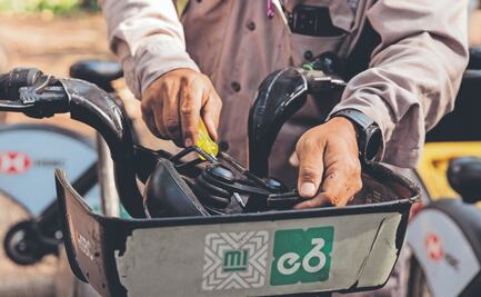 Ecobicis: se las roban, las abandonan o las modifican