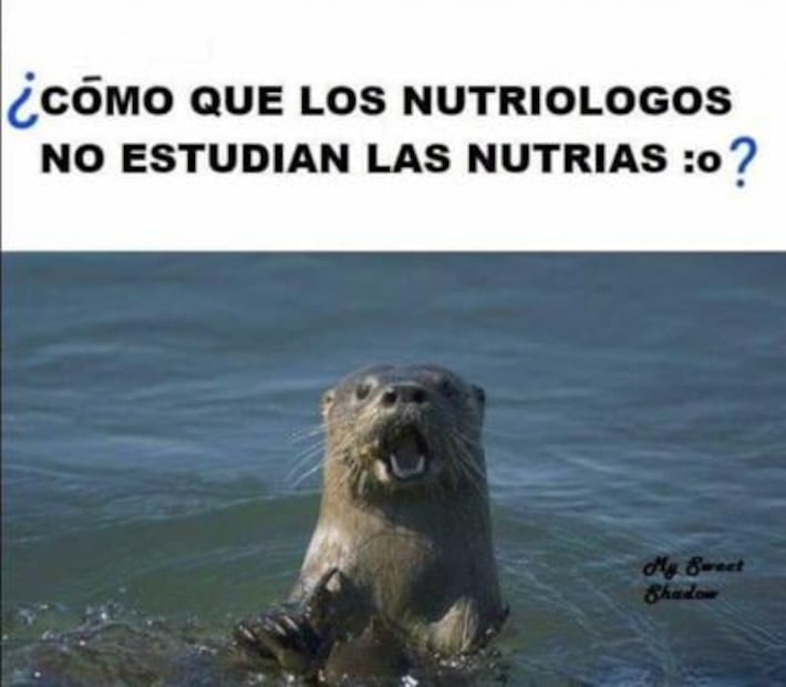 Memes por el Día del Nutriólogo 