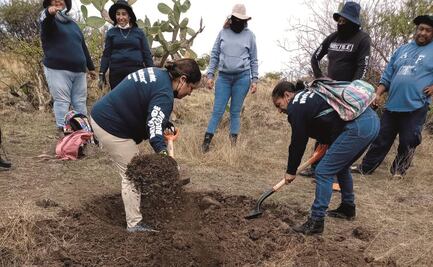 Con sus manos, Rosa escarba la tierra para buscar a su hijo; ella protestó en Estela de Luz