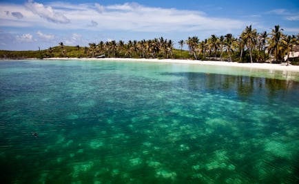 Isla Contoy, joya deshabitada del Caribe mexicano